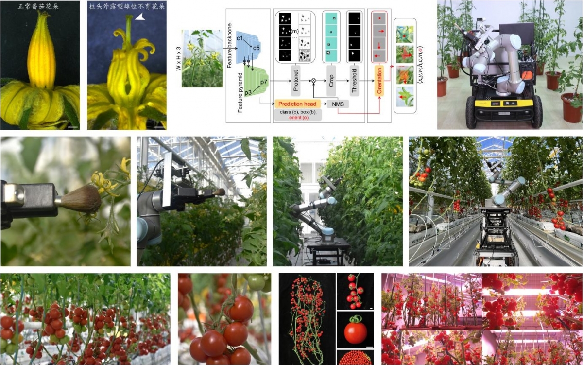 Trung Quốc chế tạo robot lai tạo giống thông minh đầu tiên trên thế giới
